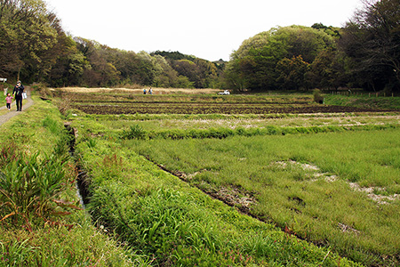 島次郎農園